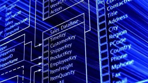 中華大地遍地帶刺奇葩，找工作的你被刺到了嗎？——聚焦數(shù)據(jù)處理與存儲支持服務(wù)